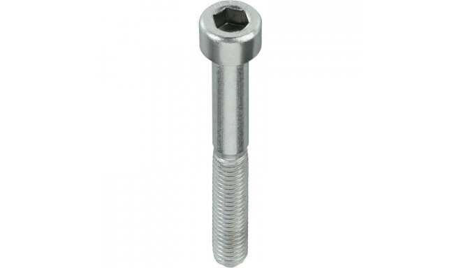 BOLT DIN912 M6X40 ZN (100)