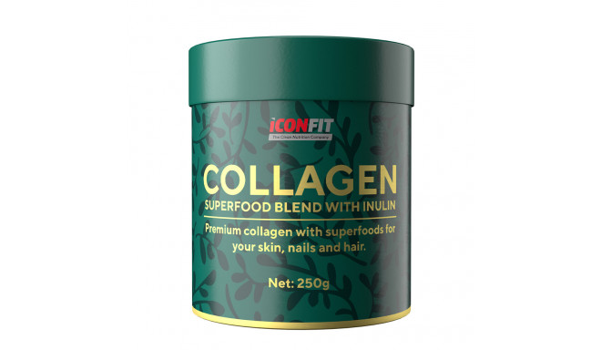 ICONFIT Collagen Superfoods Inulin toorkakao-marjad 250 G