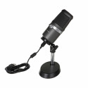 AVerMedia AM310 PC microphone Black,Silver