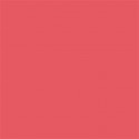 Superior Background Paper 91 Watermelon 2.72 x 11m