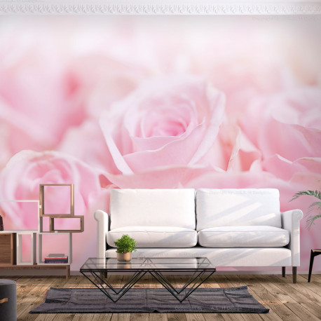 Fototapeet - Ocean of Roses - 400x280