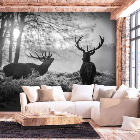 Fototapeet - Deers in the Morning - 450x315