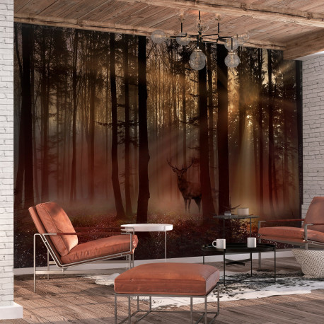 Fototapeet - Mystical Forest - First Variant - 450x315