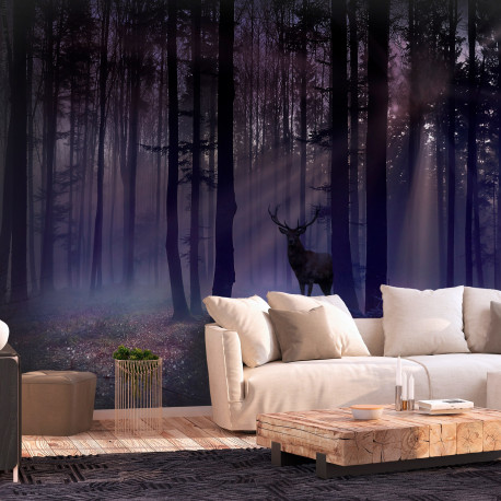 Fototapeet - Mystical Forest - Second Variant - 250x175
