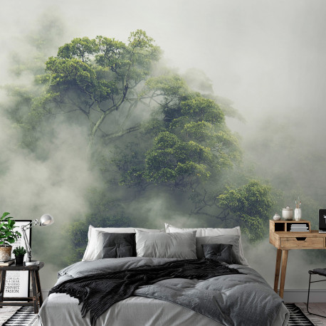 Fototapeet - Foggy Amazon - 100x70