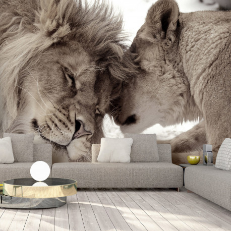 Fototapeet - Lion Tenderness (Sepia) - 450x315
