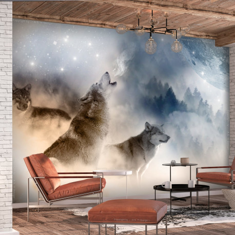 Fototapeet - Pack - 400x280