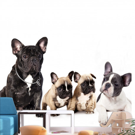 Fototapeet - French Dogs - 200x140