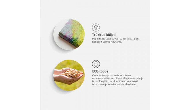 Seinapilt - Mysterious Lama (1 Part) Vertical - 40x60