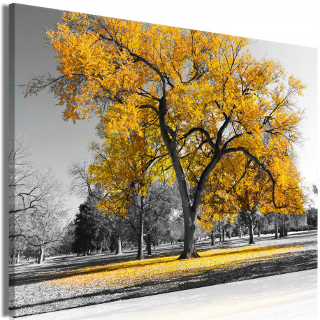 Seinapilt - Autumn in the Park (1 Part) Wide Gold - 120x80