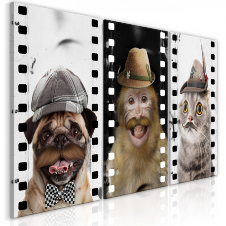 Seinapilt - Funny Pets (Collection) - 120x60