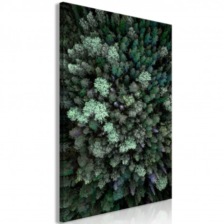 Seinapilt - Flying Over Forest (1 Part) Vertical - 80x120