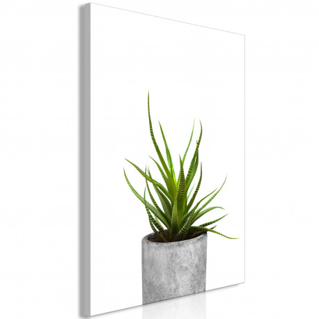Seinapilt - Haworthia (1 Part) Vertical - 60x90