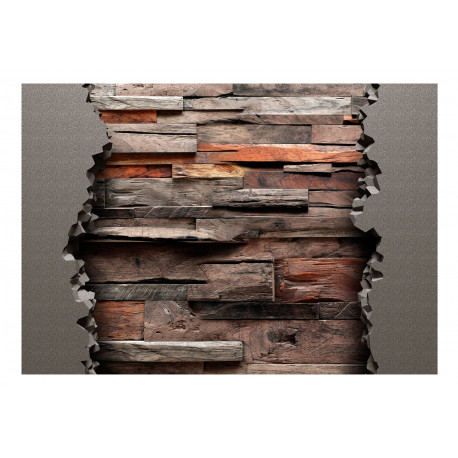 Fototapeet - Hidden Nature - 150x105