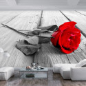 Fototapeet - Abandoned Rose - 100x70