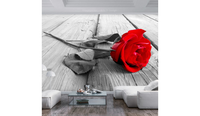 Fototapeet - Abandoned Rose - 200x140