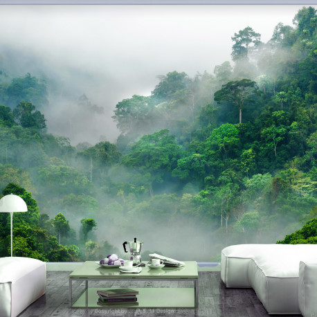 Fototapeet - Morning Fog - 300x210