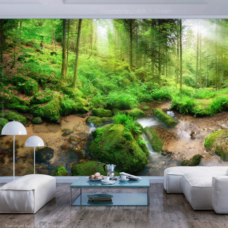 Fototapeet - Humid Forest - 150x105