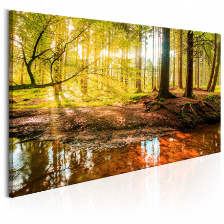 Seinapilt - Autumnal Reverie - 120x60