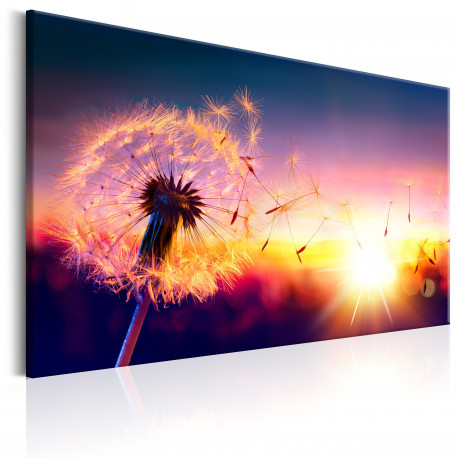 Seinapilt - Freedom of Nature - 90x60