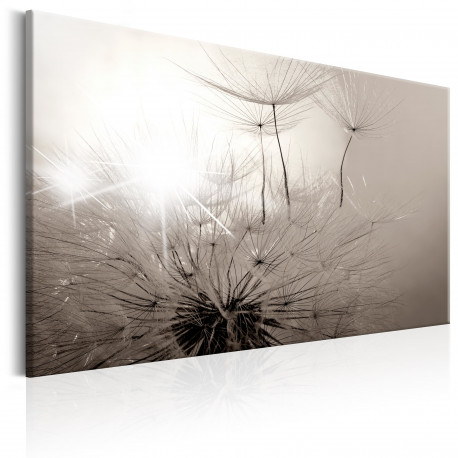 Seinapilt - Beautiful Summer: Dandelions - 120x80