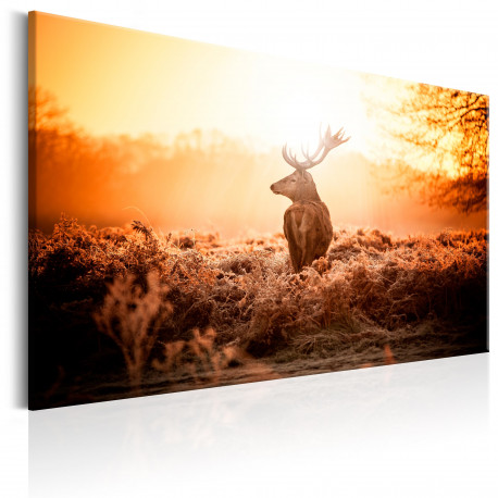 Seinapilt - Deer in the Sun - 90x60