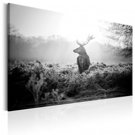 Seinapilt - Black and White Deer - 90x60