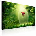 Seinapilt - Magical Rose - 120x80