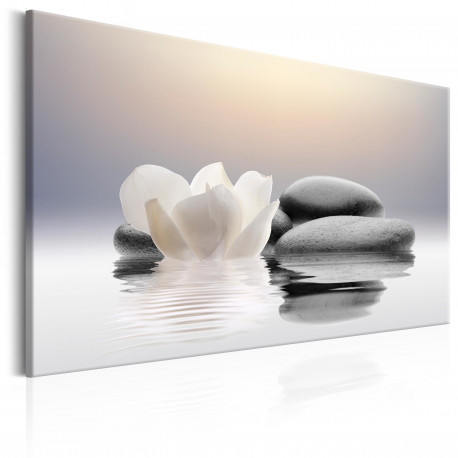 Seinapilt - Garden of Calm - 60x40