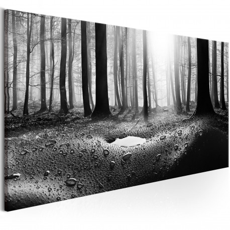 Seinapilt - Forest after Rain (1 Part) Narrow - 120x40
