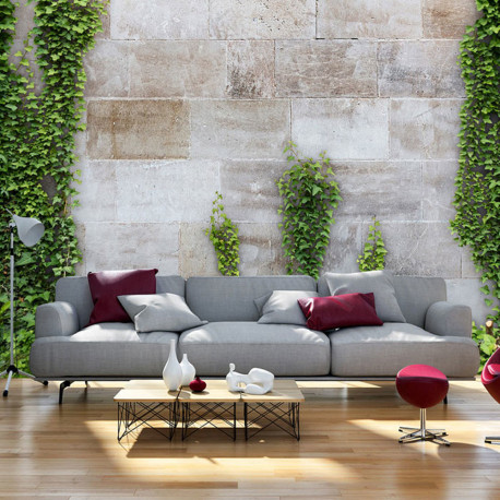 Fototapeet - The Forgotten Garden - 200x140