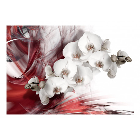 Fototapeet - Orchid in red - 200x140