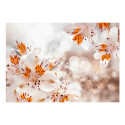 Fototapeet - Lily of the Incas - 350x245