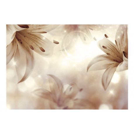 Fototapeet - Gentle Symphony - 100x70
