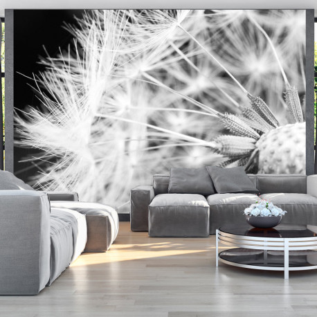 Fototapeet - Black and white dandelion - 150x105