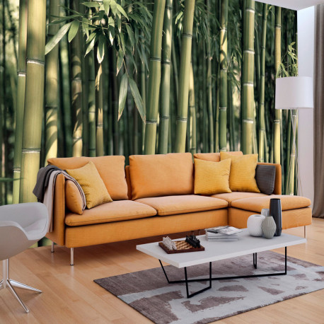 Fototapeet - Bamboo Exotic - 150x105