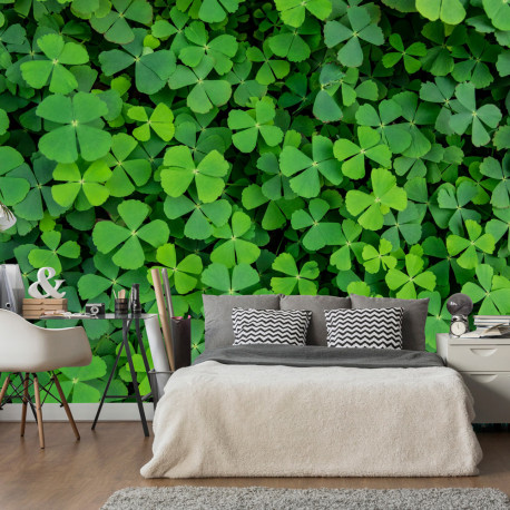 Fototapeet - Green Clover - 100x70