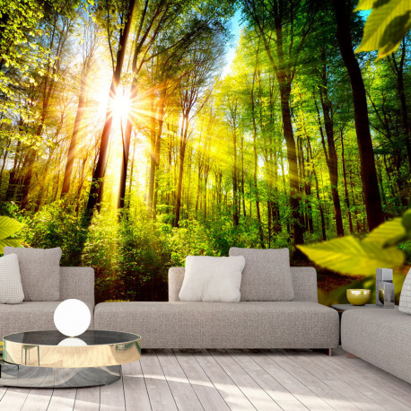 Fototapeet - Forest Hideout - 300x210