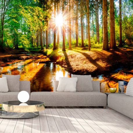 Fototapeet - Marvelous Forest - 350x245