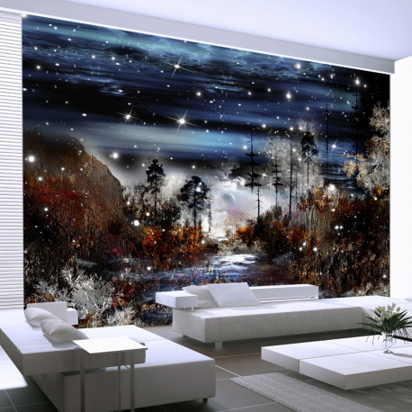 Fototapeet - Night in the forest - 200x140