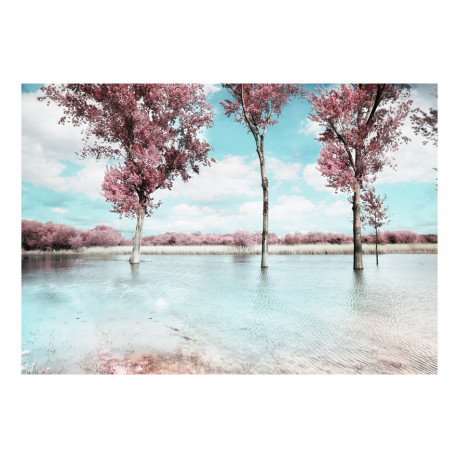 Fototapeet - Autumn scenery - 300x210