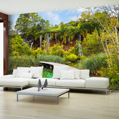 Fototapeet - Green oasis - 250x175