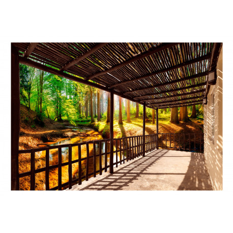 Fototapeet - Getting Back to Nature - 300x210