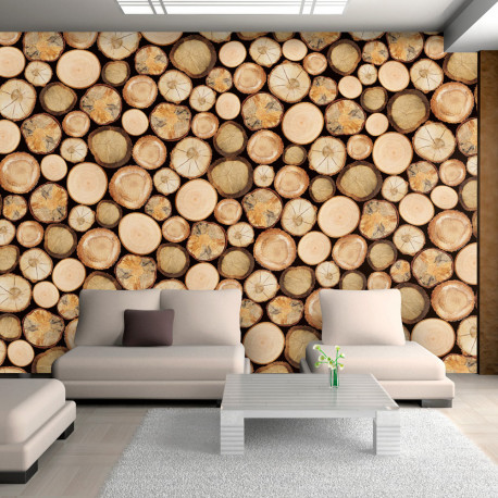 Fototapeet - In sawmill - 400x280