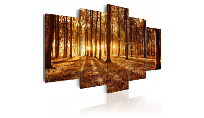Seinapilt - Amber forest - 100x50