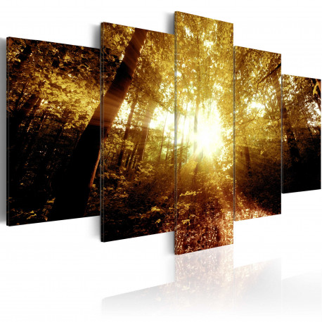 Seinapilt - Autumn Forest - 100x50