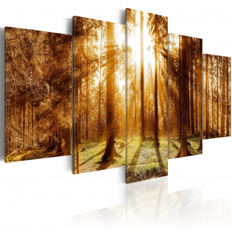 Seinapilt - Forest Illumination - 100x50