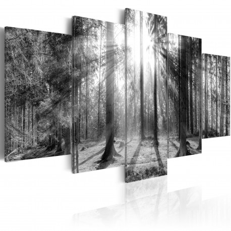 Seinapilt - Forest of Memories - 200x100