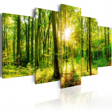 Seinapilt - Forest Tale - 100x50