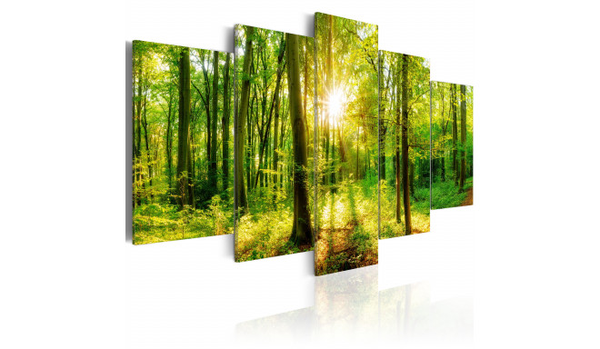 Seinapilt - Forest Tale - 100x50